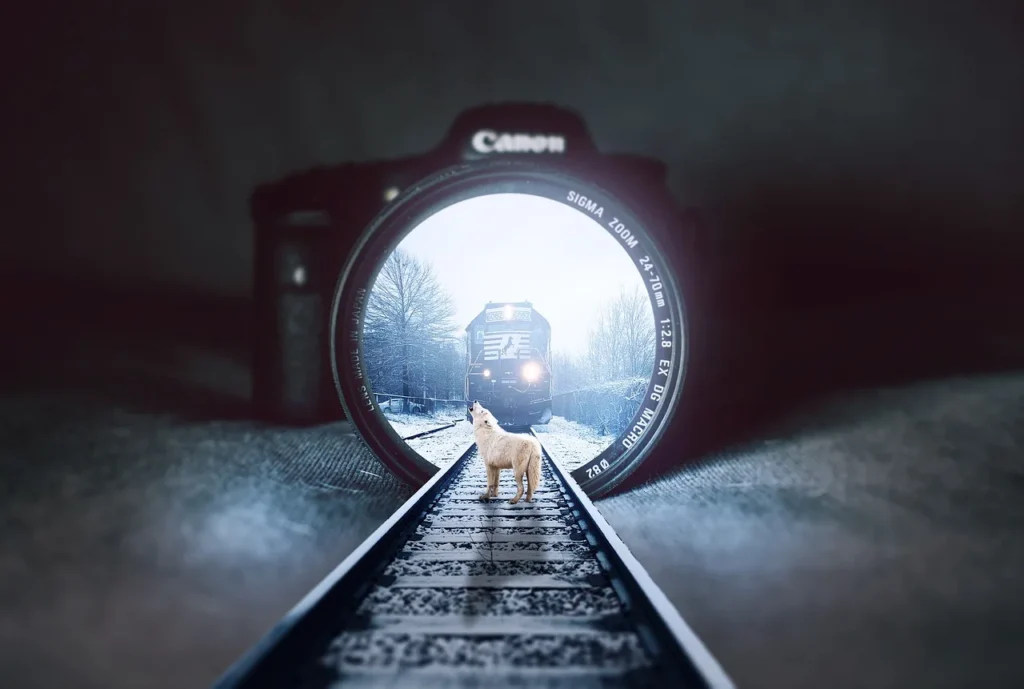 Étapes pour se former au numérique et booster son marketing
